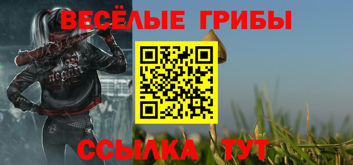 как найти наркотики  Галлюциногенные грибы Psilocybine cubensis  Гуково  Вход с VPN  Псилоцибиновые грибы Psilocybe 