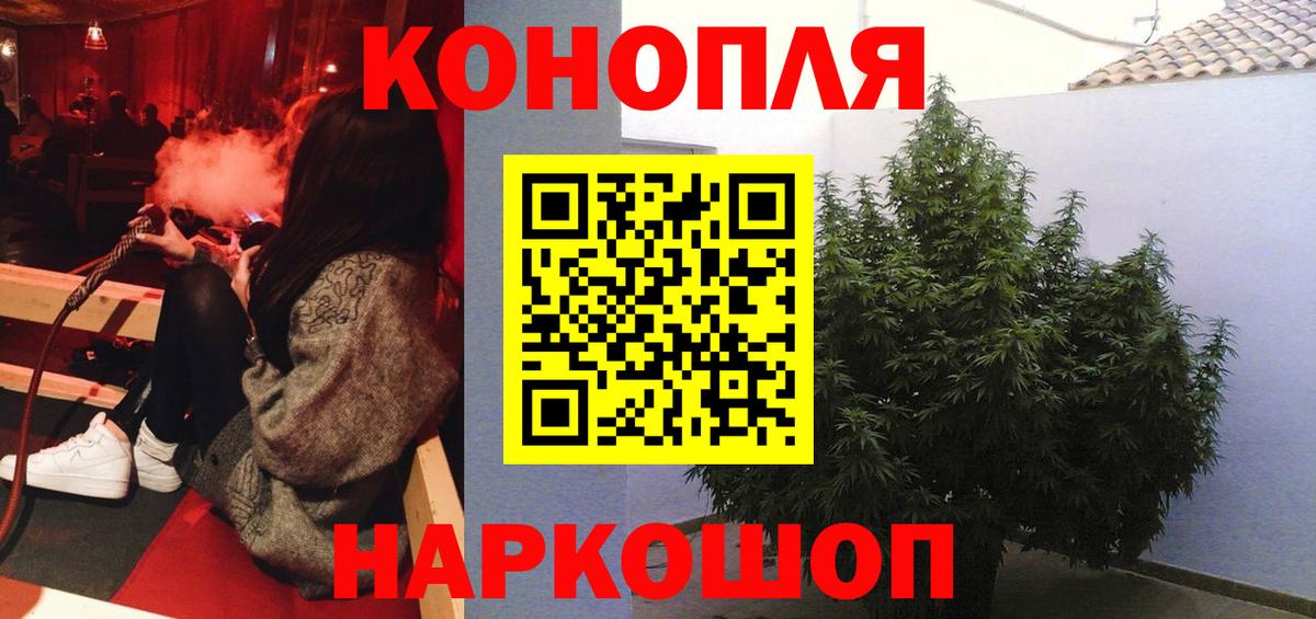 Шишки марихуана план Гуково